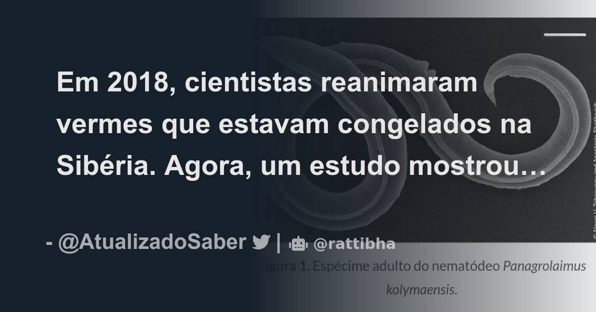 Em Cientistas Reanimaram Vermes Que Estavam Congelados Na Sib Ria