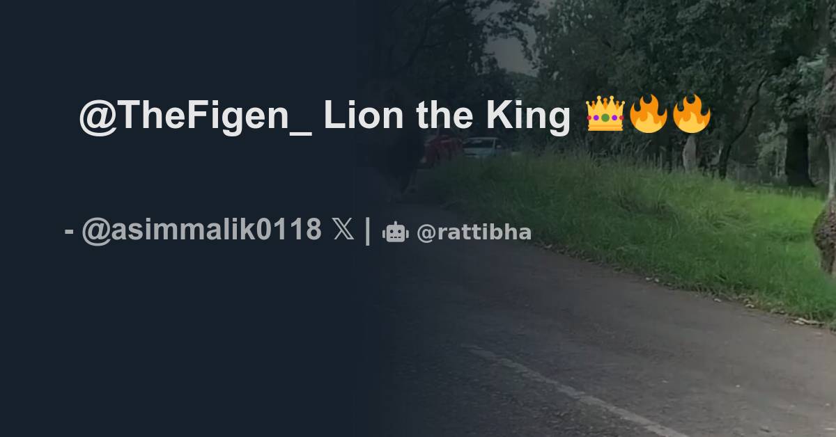 Thefigen Lion The King Thread From Asim Malik Asimmalik