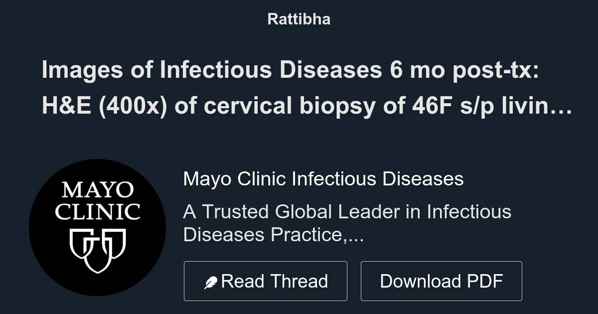 Images of Infectious Diseases 6 mo posttx H&E (400x) of cervical