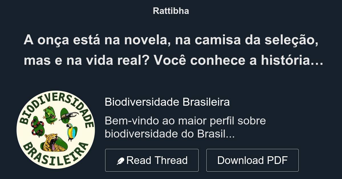 Você conhece a História do Brasil?