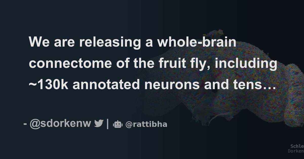 We Are Releasing A Whole-brain Connectome Of The Fruit Fly, Including ...