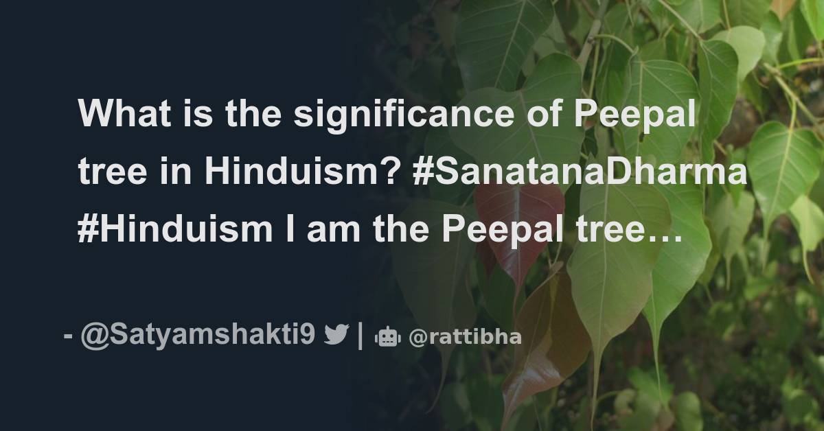 what-is-the-significance-of-peepal-tree-in-hinduism-sanatanadharma
