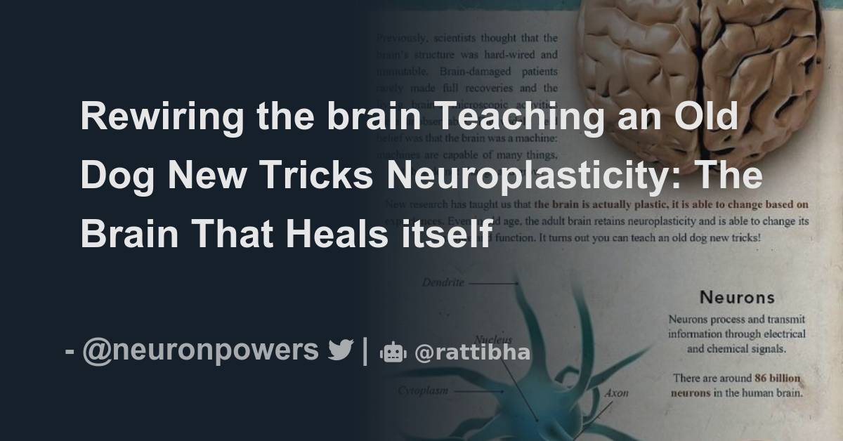 Rewiring the brain Teaching an Old Dog New Tricks Thread from Neuron