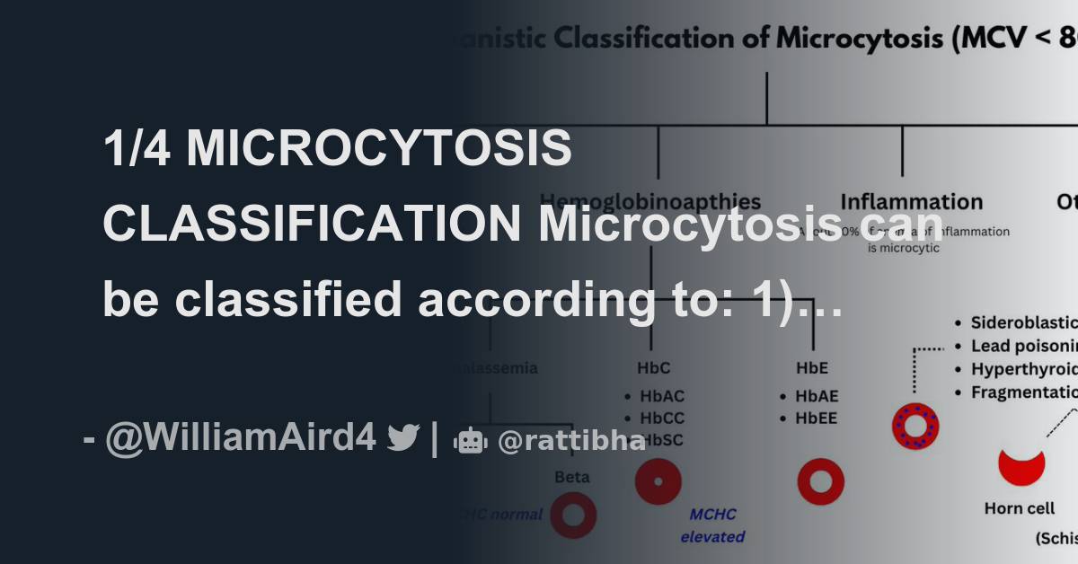 1 4 Microcytosis Classification Microcytosis Can Be Classified