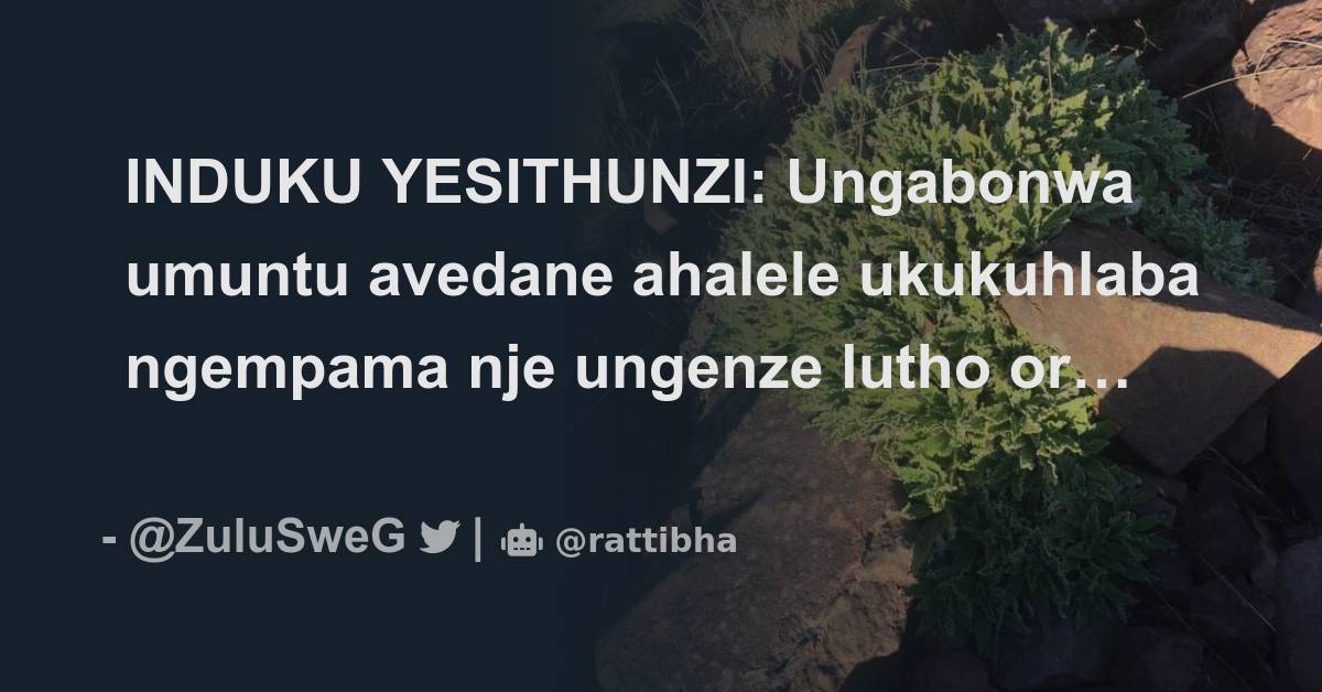 INDUKU YESITHUNZI: Ungabonwa umuntu avedane ahalele ukukuhlaba ngempama ...