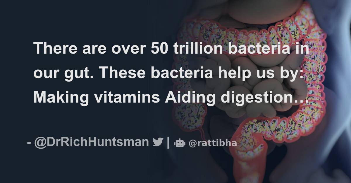 There are over 50 trillion bacteria in our gut. These bacteria help us