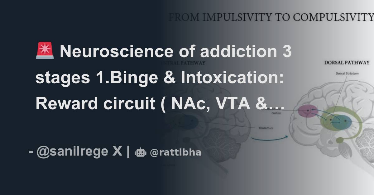 🚨 Neuroscience of addiction 3 stages 1.Binge & Intoxication: Reward ...