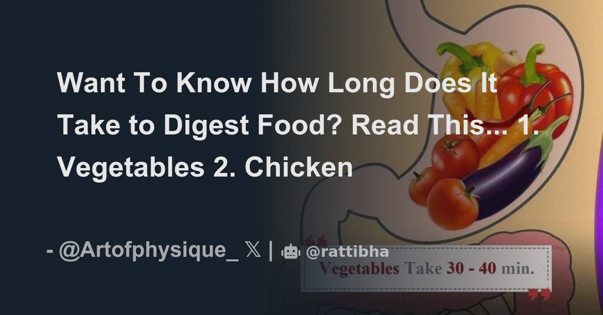Want To Know How Long Does It Take to Digest Food? Read This... 1
