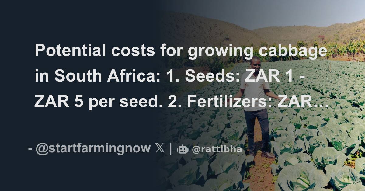 Potential costs for growing cabbage in South Africa 1. Seeds ZAR 1