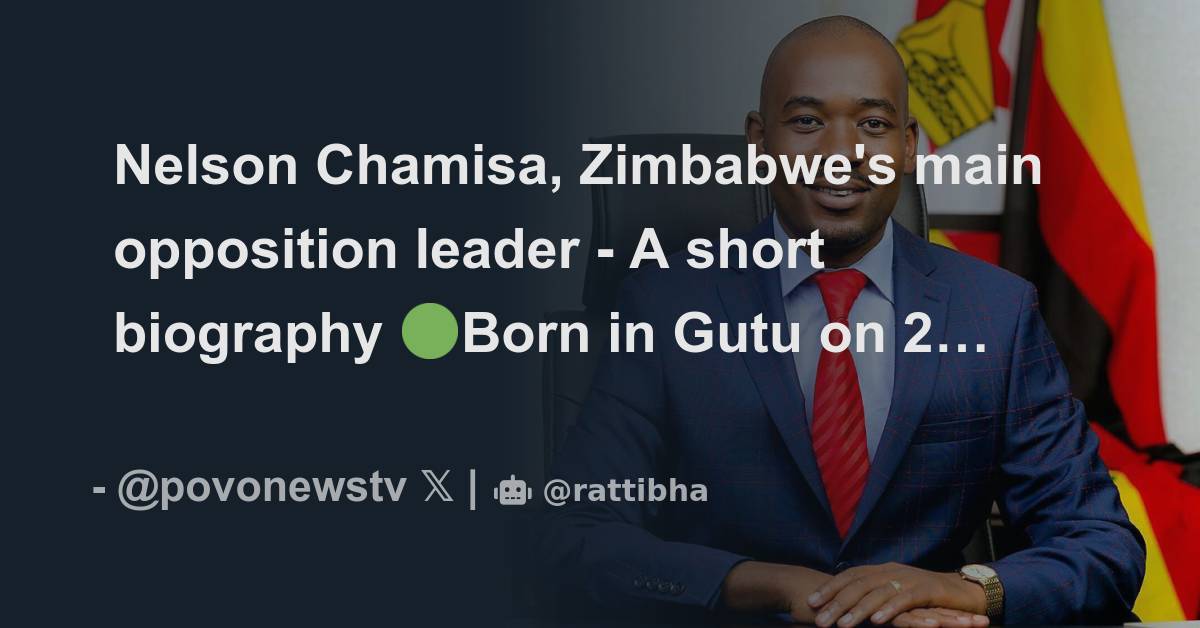 Nelson Chamisa, Zimbabwe's main opposition leader A short biography 🟢
