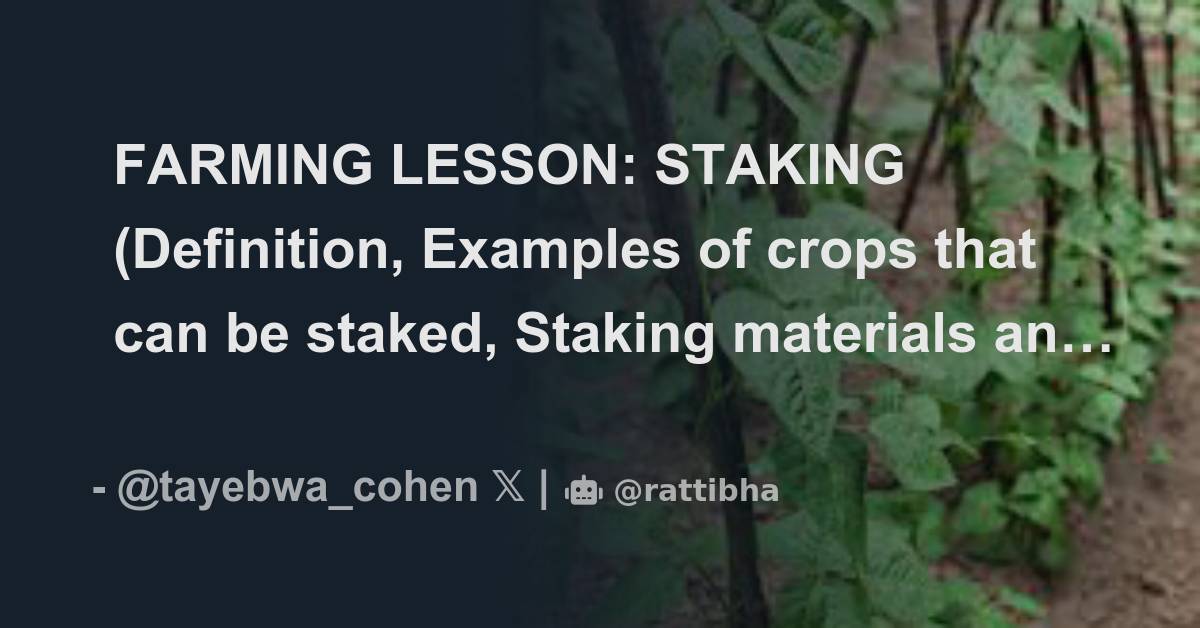 FARMING LESSON STAKING (Definition, Examples of crops that can be
