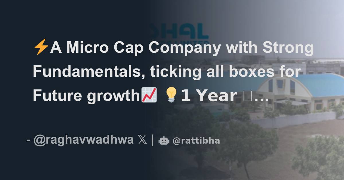 ⚡️A Micro Cap Company with Strong Fundamentals, ticking all boxes for