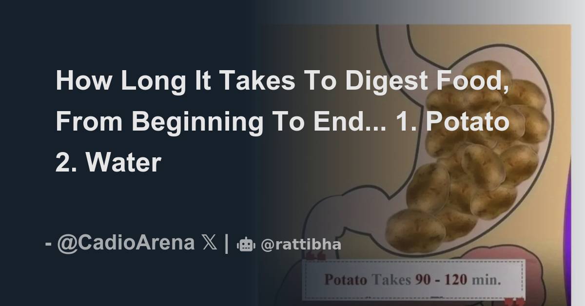 How Long It Takes To Digest Food, From Beginning To End... 1. Potato