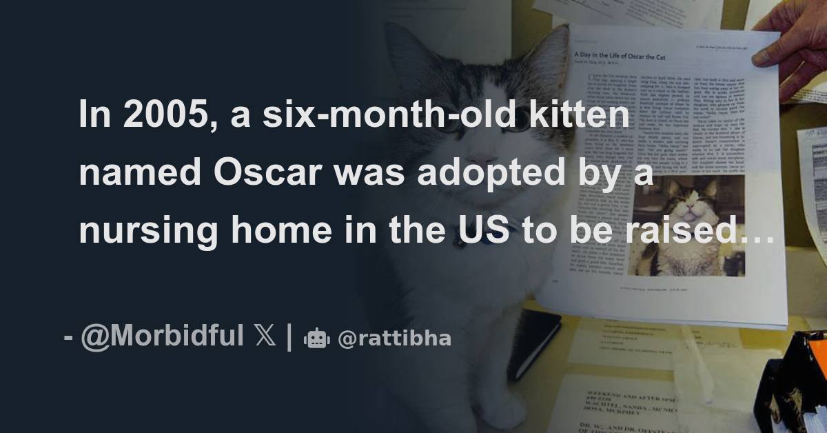 In 2005, a sixmonthold kitten named Oscar was adopted by a nursing