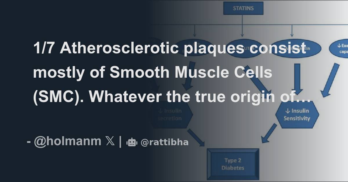 1/7 Atherosclerotic plaques consist mostly of Smooth Muscle Cells (SMC