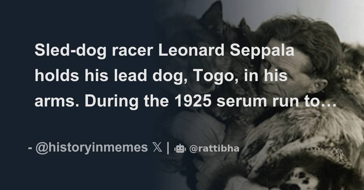 Sled dog Racer Leonard Seppala Holds His Lead Dog Togo In His Arms sled-dog-racer-leonard-seppala-holds-his-lead-dog-togo-in-his-arms