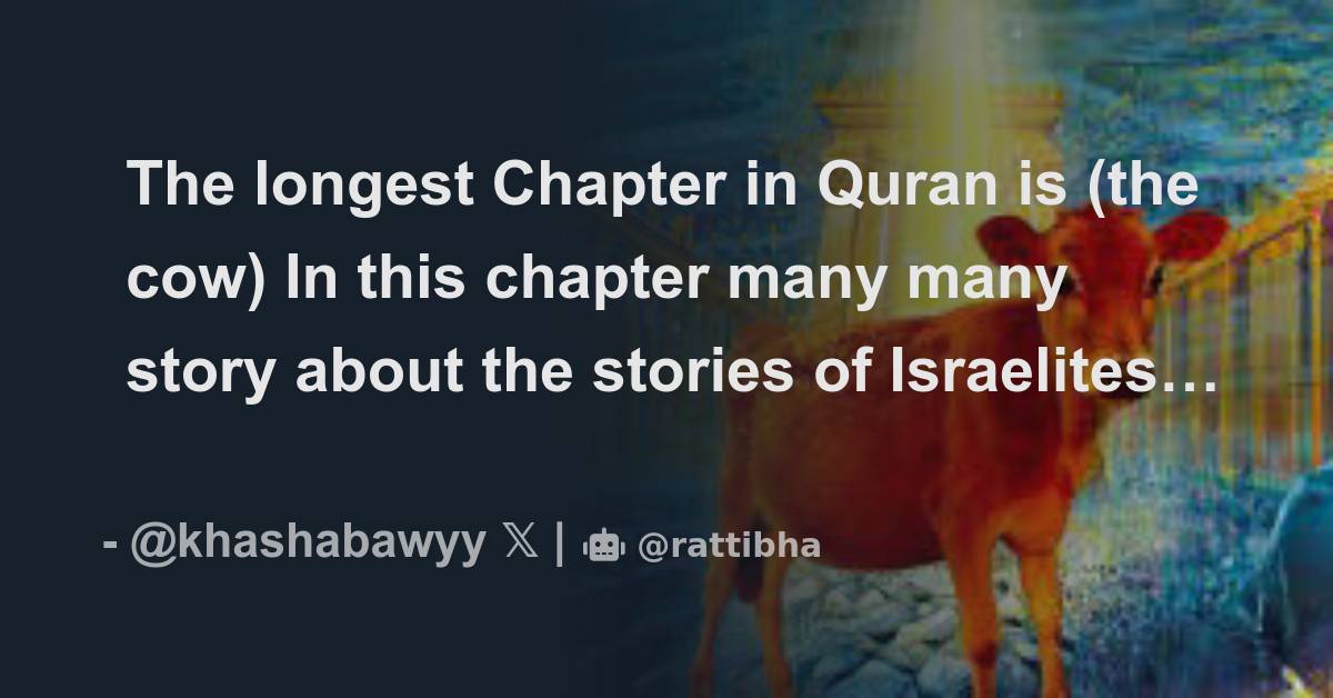 The Longest Chapter In Quran Is the Cow In This Chapter Many Many The Longest Chapter In Quran Is the Cow In This Chapter Many Many