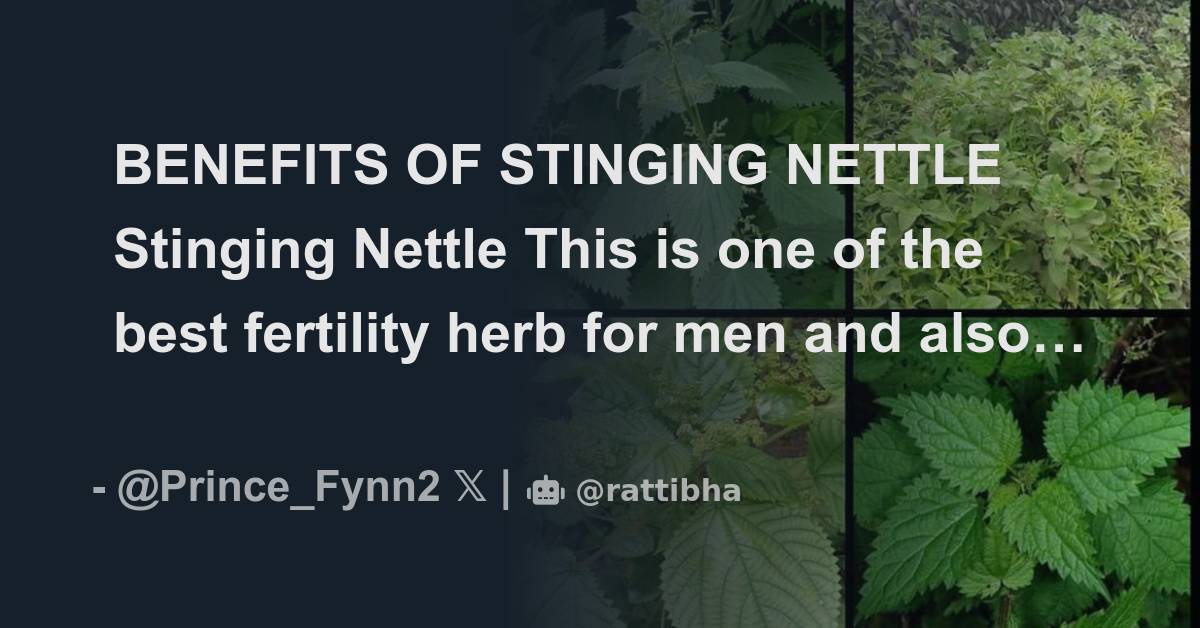 BENEFITS OF STINGING NETTLE Stinging Nettle This is one of the best