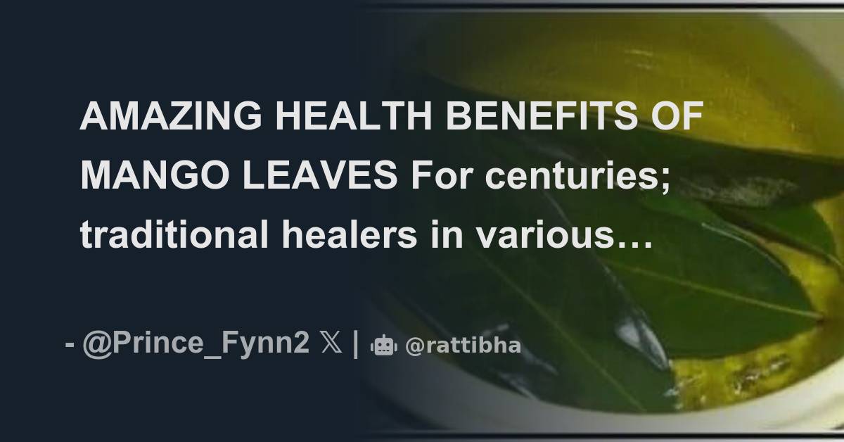 AMAZING HEALTH BENEFITS OF MANGO LEAVES For centuries; traditional ...