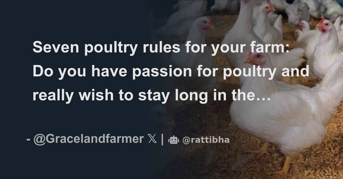 seven-poultry-rules-for-your-farm-do-you-have-passion-for-poultry-and