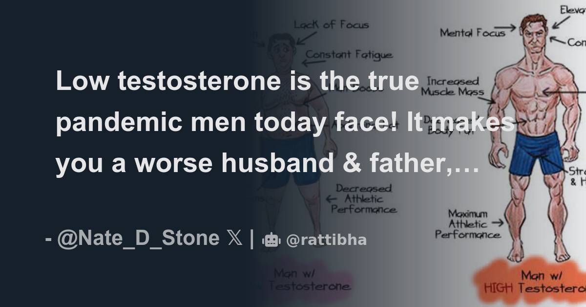 Low testosterone is the true pandemic men today face! It makes you a worse  husband & father, worse in the office & in the bedroom! Want -  Thread from Nate Stone 