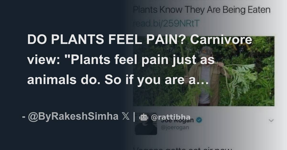 Can Plants Feel Pain Like Animals