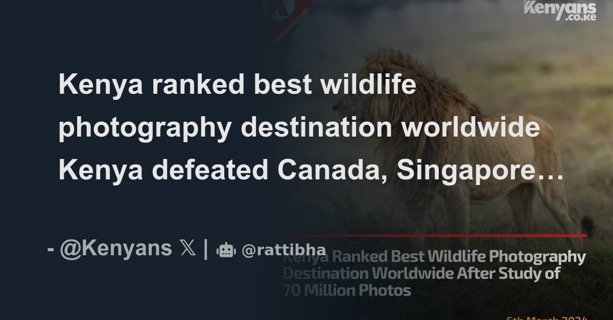 Kenya ranked best wildlife photography destination worldwide - Thread ...