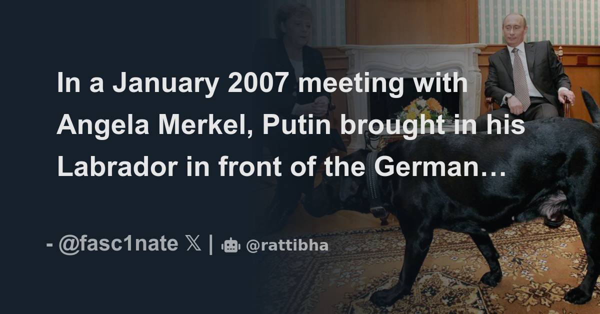 In A January 2007 Meeting With Angela Merkel, Putin Brought In His ...