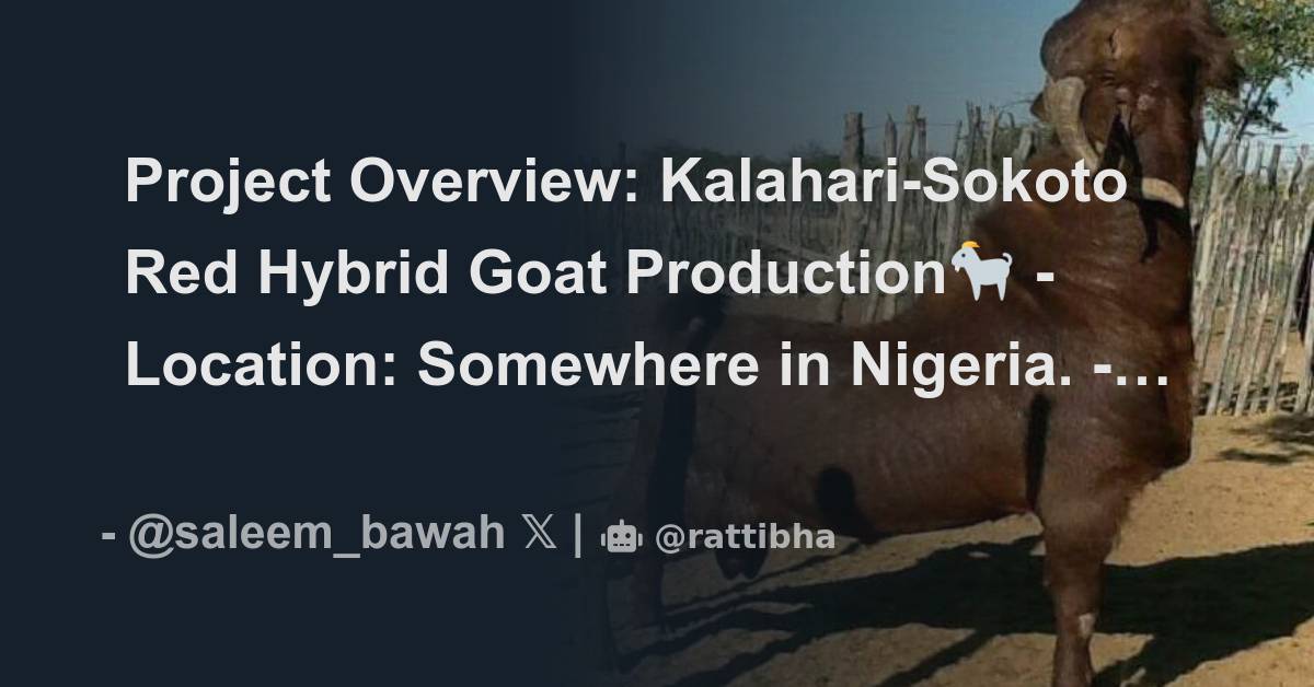 Project Overview: Kalahari-Sokoto Red Hybrid Goat Production🐐 ...