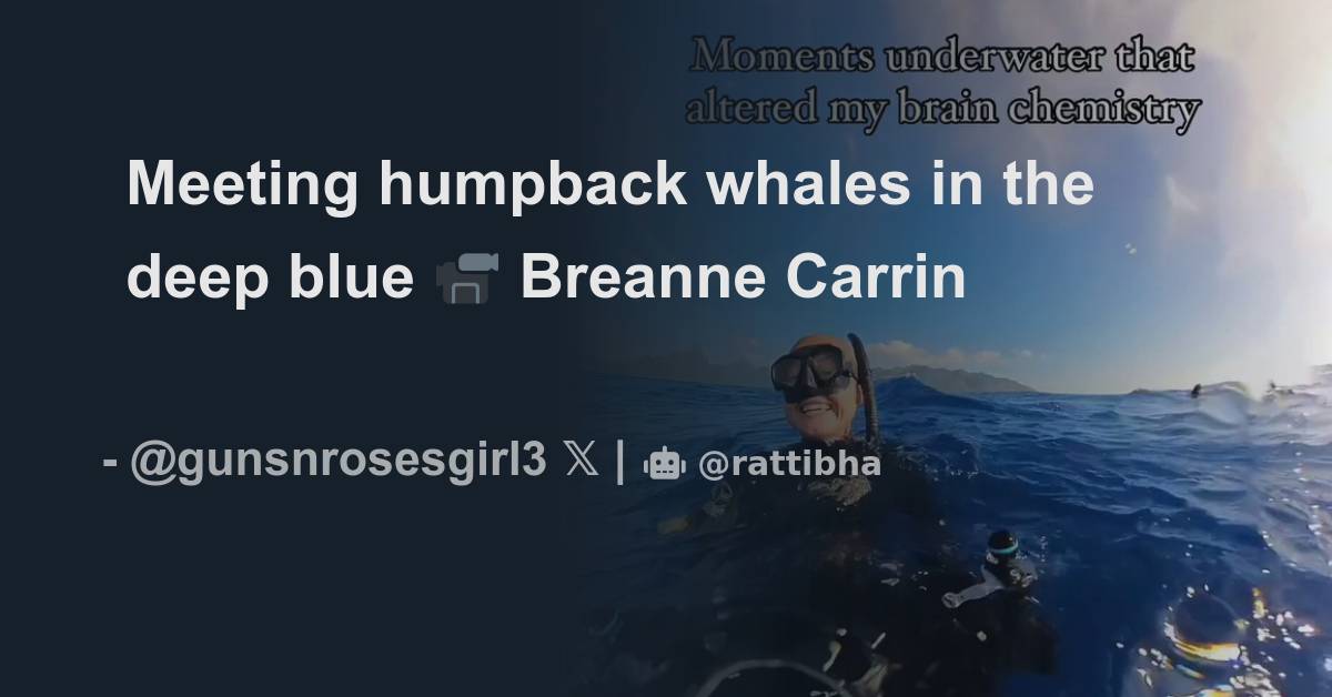 Meeting humpback whales in the deep blue 📹 Breanne Carrin - Thread from ...