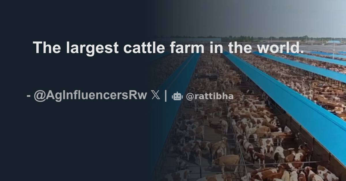 the-largest-cattle-farm-in-the-world-thread-from-agirite-social